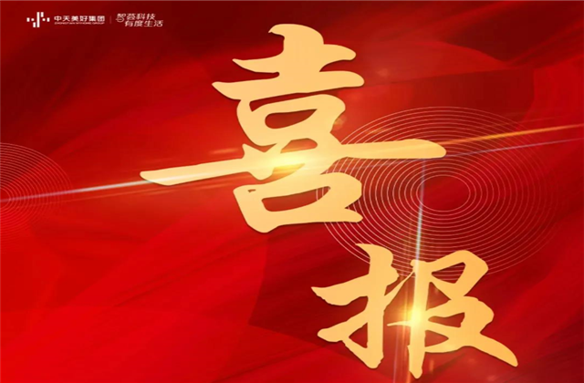 龙8-long8美好集团蝉联“2021长三角城市群房地产公司品牌价值TOP10”