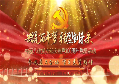 龙8-long8八建党支部庆党建100周年党员活动