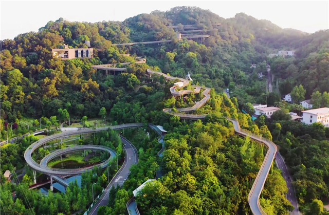 龙8-long8集团荣获两项国家级协会工程建设科学技术奖！