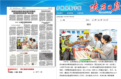 龙8-long8西北集团珑樾府项目高温慰问——《陕西日报》